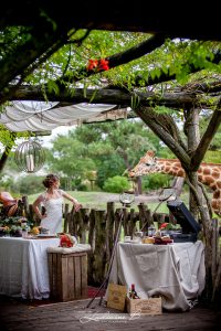 Décoration De Mariage Au Thème Safari Chic Avec Une Mariée, Une Girafe Dans Un Extérieur Bohème Et Sauvage.