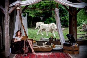 Mariage Au Thème De Décoration Safari Chic Avec Lion Et Scénographie Bohème.