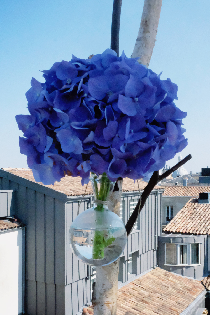 Fleur de décoration pour bouquet et décoration sur le thème du 14 juillet à Bordeaux.