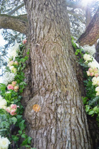Guirlande De Fleur Et Décoration Mariage D'arbre En Extérieur.