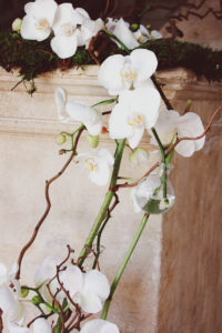 Composition Florale D'orchidée Décorée Par Elisabeth Delsol.
