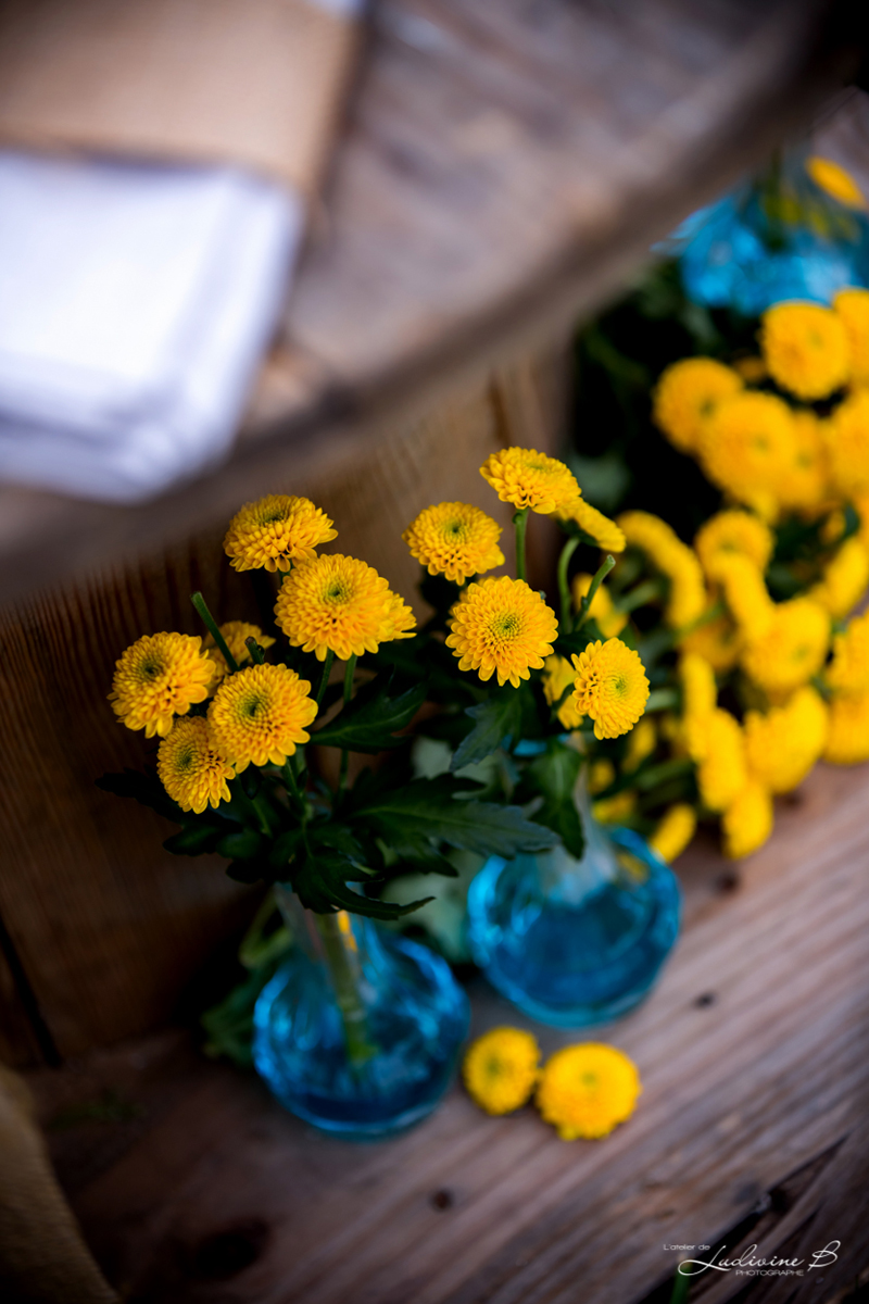 Fleurs juillet de mariage champêtre et bouquet en matricaire jaune de décoration.