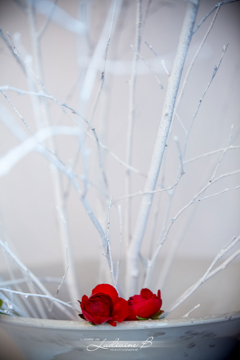 Décoration et bouquet de fleur pour une vitrine de Noël lors des fêtes de fin d'année.