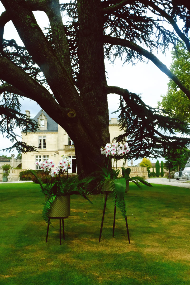 Le jardin du Château Pape Clément lors de cérémonie de mariage en extérieur.