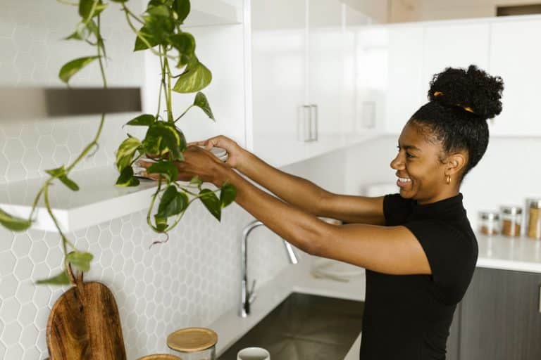 Suspendre des pots de fleurs pothos dans une cuisine moderne